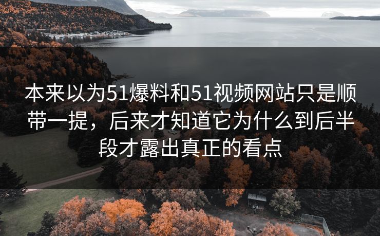 本来以为51爆料和51视频网站只是顺带一提，后来才知道它为什么到后半段才露出真正的看点