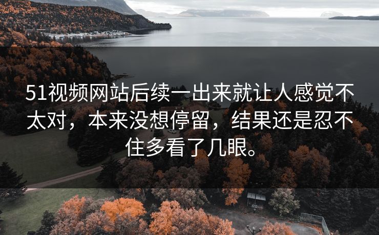 51视频网站后续一出来就让人感觉不太对，本来没想停留，结果还是忍不住多看了几眼。
