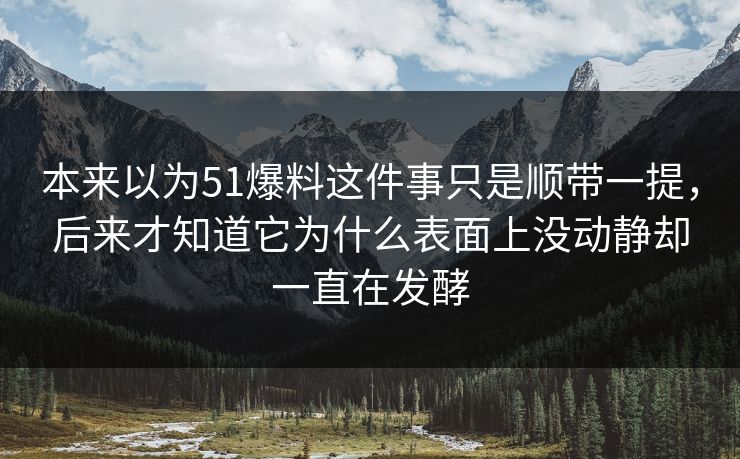 本来以为51爆料这件事只是顺带一提，后来才知道它为什么表面上没动静却一直在发酵