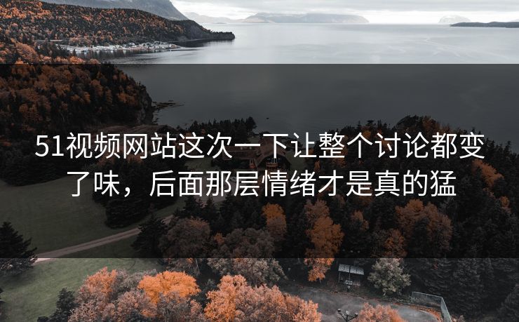 51视频网站这次一下让整个讨论都变了味，后面那层情绪才是真的猛